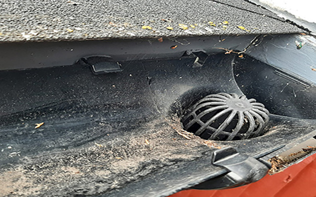 Good idea to put downpipe heads in, to keep leafs out