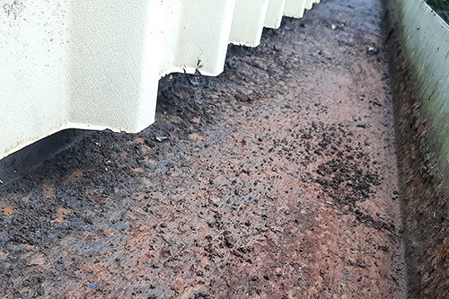 Guttering cleaned out