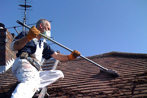 Removing moss from roof